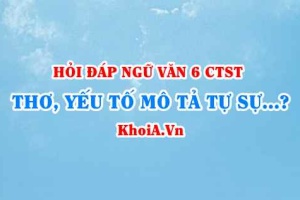 Thơ thuộc thể lại gì? Tác dụng yếu tố mô tả tự sự trong thơ như nào? Đặc điểm của ngôn ngữ thơ là gì? Văn lớp 6 CTST